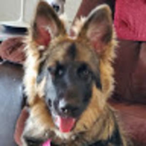 Meet your Posher, Lee